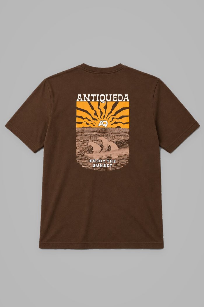 Camiseta marrom Antiqueda, verso